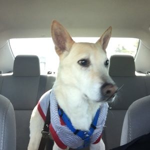 Meet your Posher, Brett